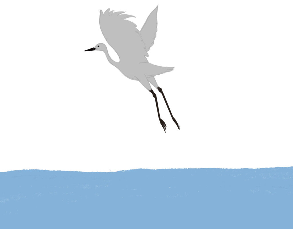 A gray heron is taking off from a lake.